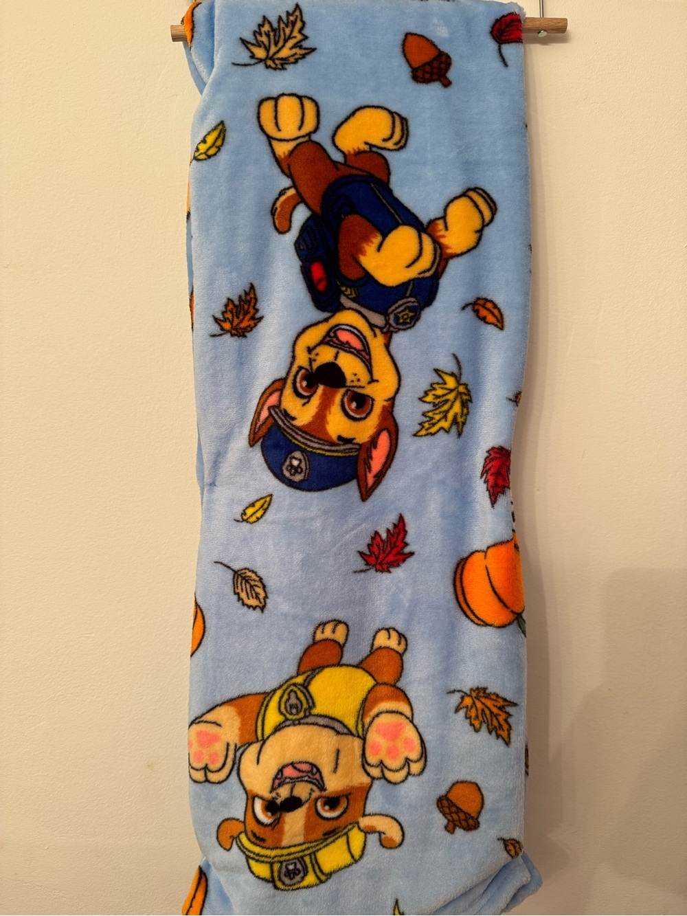 Paw Patrol Kids Blue Fall Fleece Blanket
